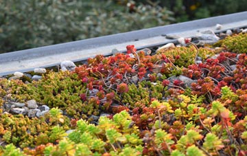 the cost of Linhope green roof installation